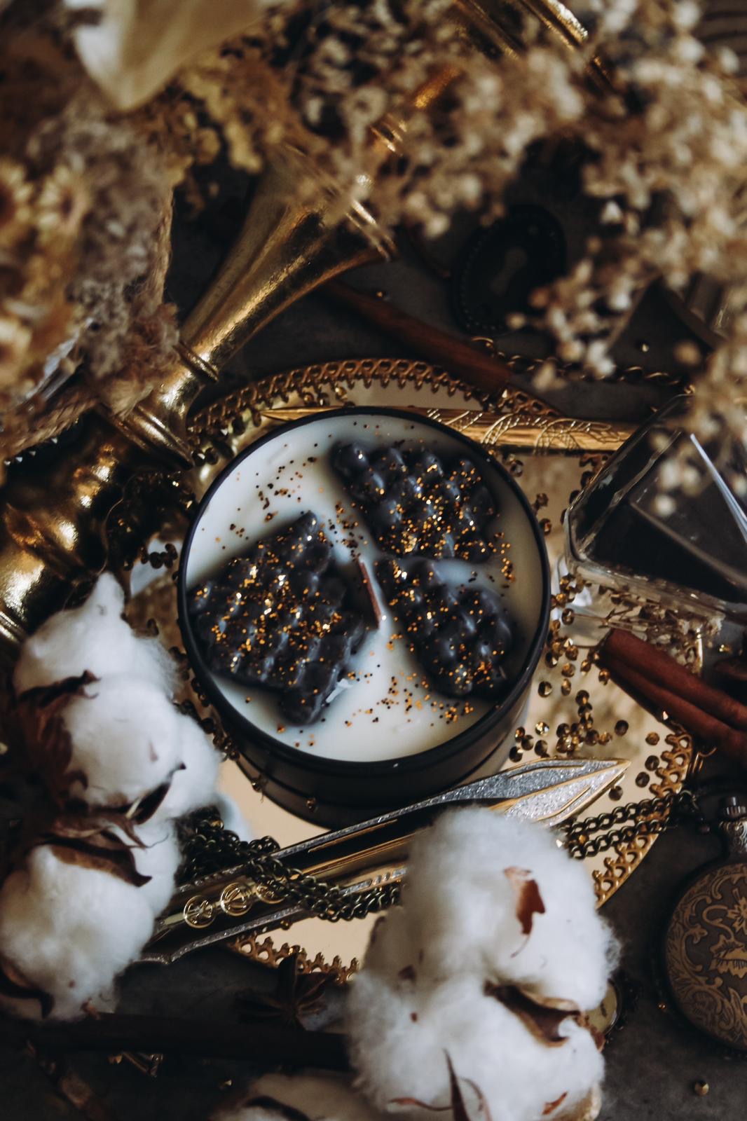 Indomitus Dragon Rider