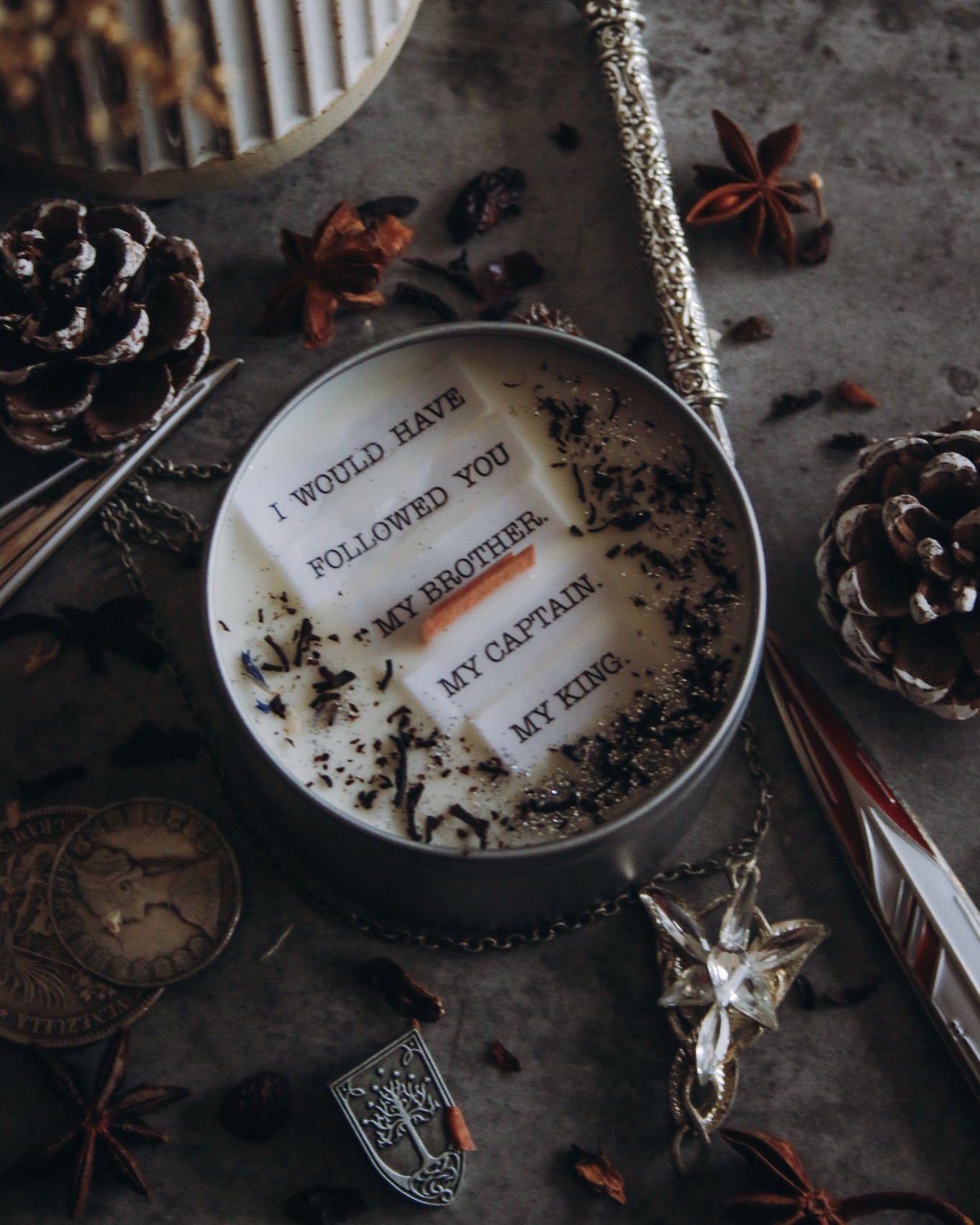 Be At Peace Son of Gondor